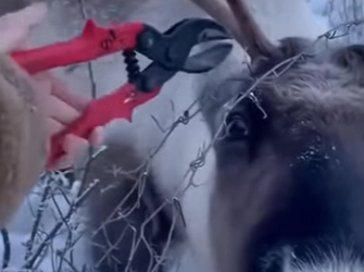 P2901008 Today a life found safety (Part 2)