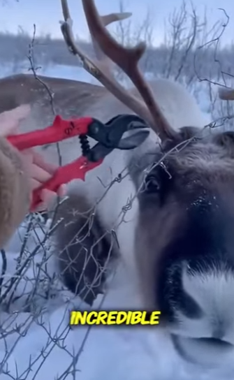 P2901008 Today a life found safety (Part 2)