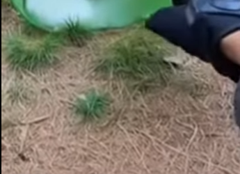 P2901006 A rescue that brought back hope (Part 2)