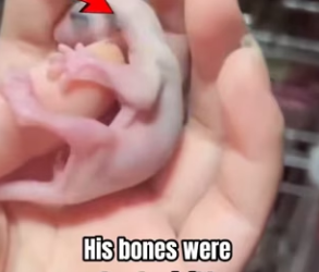 P2901001 No longer fighting alone (Part 2)