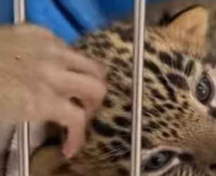 P2901004 Care arrived right on time (Part 2)