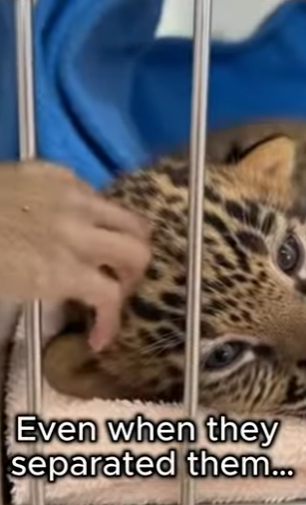 P2901004 Care arrived right on time (Part 2)