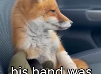 P2901010 Today a life found safety (Part 2)