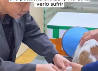 R2901005 Otro corazon salvado hoy (Parte 2)