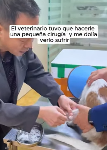 R2901005 Otro corazon salvado hoy (Parte 2)