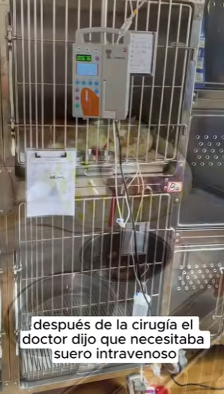 R2901002 Cuando los humanos eligen compasion (Parte 2)