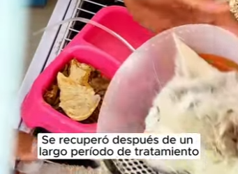 R2901003 Un nuevo comienzo lleno de amor (Parte 2)