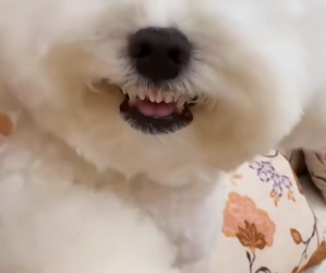 R2901013 Del miedo a la libertad (Part 2)