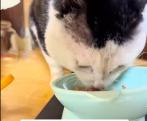 R2901011 Un milagro hecho con bondad （Part 2)