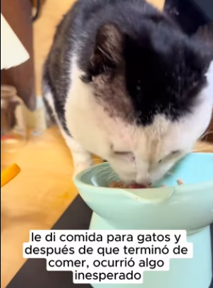 R2901011 Un milagro hecho con bondad （Part 2)