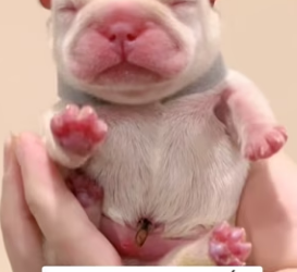 R2901010 Manos amables, corazones valientes (Part 2)