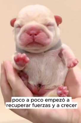 R2901010 Manos amables, corazones valientes (Part 2)