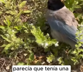 R2901009 Juntos salvamos vidas (Part 2)