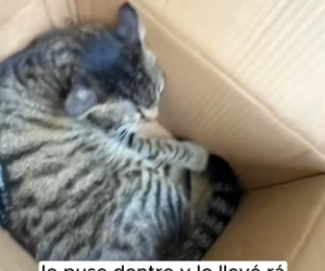 R2901008 Del peligro a brazos amorosos (Part 2)