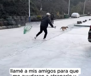 R2901007 Del peligro a brazos amorosos (Part 2)