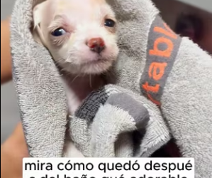 R2901004 Rescatar trae nuevos comienzos