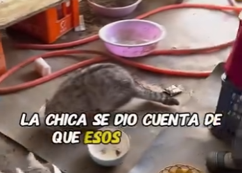 A2801007 La sanacion llega con cuidado (Parte 2)