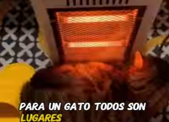 A2801003 Cada rescate es una victoria (Parte 2)