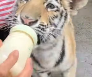 A2801005 Del miedo a la libertad (Parte 2)