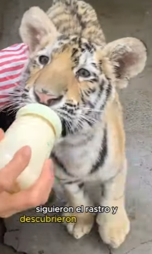 A2801005 Del miedo a la libertad (Parte 2)