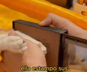 A2801001 El amor protege a los inocentes (Parte 2)