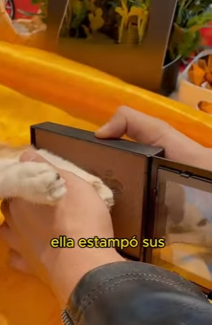 A2801001 El amor protege a los inocentes (Parte 2)