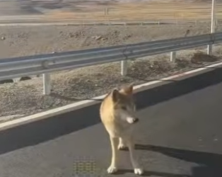 A2801006 El amor llega cuando mas se necesita (Parte 2)