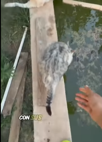 A2801002 Una vida salvada, un futuro cambiado (Parte 2)