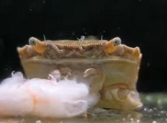 A2801004 Del miedo a la libertad (Parte 2)