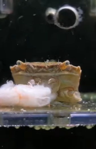 A2801004 Del miedo a la libertad (Parte 2)