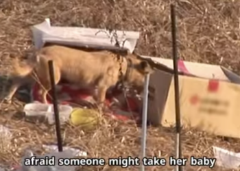 C2601010 Healing starts with kindness (Part 2)