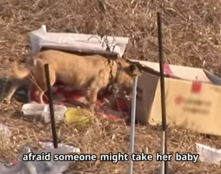 C2601010 Healing starts with kindness (Part 2)