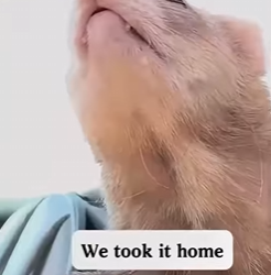 Z2601009 Safe tonight because someone cared (Part 2)