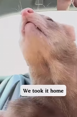 Z2601009 Safe tonight because someone cared (Part 2)