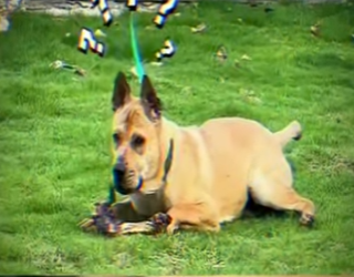 La sanacion llega con cuidado (Parte 2)