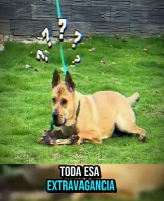 La sanacion llega con cuidado (Parte 2)