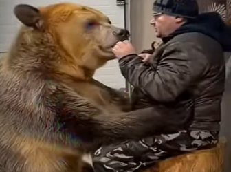 V2801002 La protección llegó con paciencia. (Parte 2)