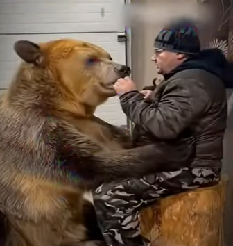 V2801002 La protección llegó con paciencia. (Parte 2)