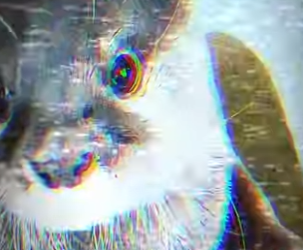 V2801006 La ayuda convirtió el miedo en sanación. (Parte 2)