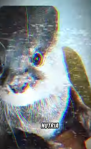 V2801006 La ayuda convirtió el miedo en sanación. (Parte 2)