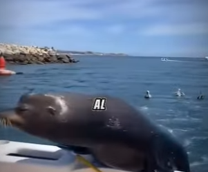 V2801001 El cariño elevó esta vida. (Parte 2)