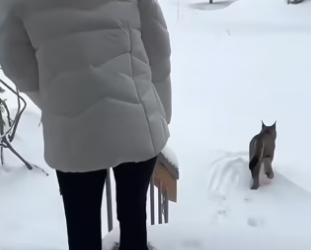 When humans choose compassion (Part 2)