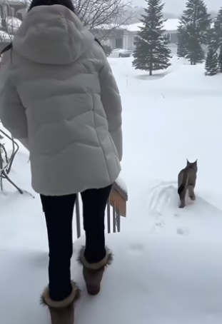 When humans choose compassion (Part 2)