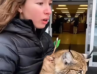 Another heart saved today (Part 2)