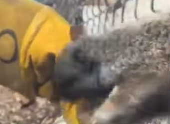 I2801004 Well done (Part 2)