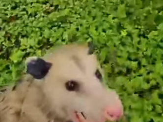 I2801002 Not all heroes wear capes (Part 2)