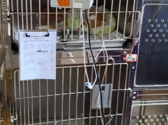 R2901002 La ayuda llego en el momento justo (Parte 2)