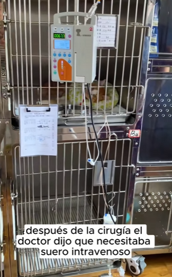 R2901002 La ayuda llego en el momento justo (Parte 2)