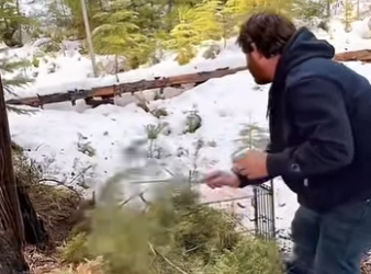 Another wild bobcat release wow, can they climb! (Part 2)