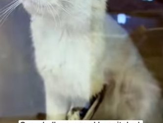 R2901003 Donde habia miedo ahora hay calma (Parte 2)